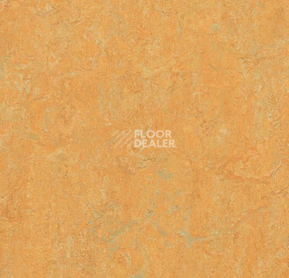 Линолеум Forbo Marmoleum Marbled Real 3847 Golden Saffron фото 1 | FLOORDEALER